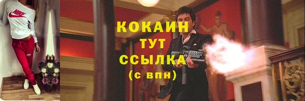 соль ск Богородск