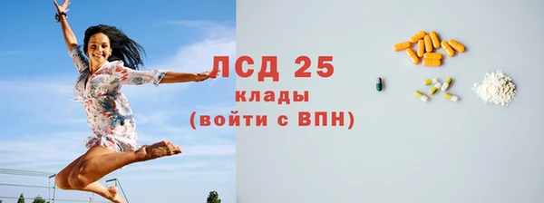 соль ск Богородск