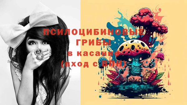 соль ск Богородск