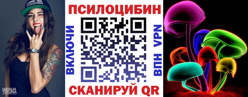 Галлюциногенные грибы Psilocybe Новоузенск
