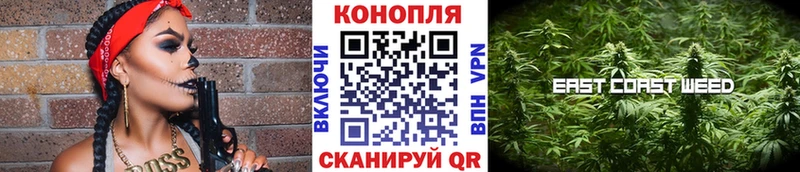 Конопля марихуана Новоузенск